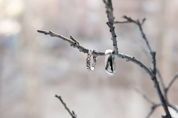 Two silver rings hanging on a bare twig as an artistic display, symbolizing pristine silver jewelry.