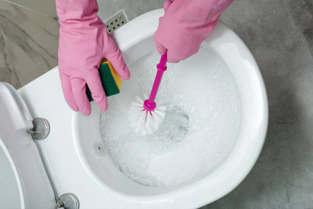 Guide to Scrubbing Your Toilet Bowl