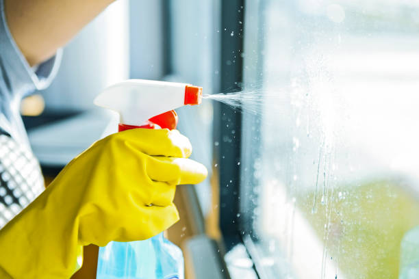 Discover the top recipe for a DIY window cleaning solution.