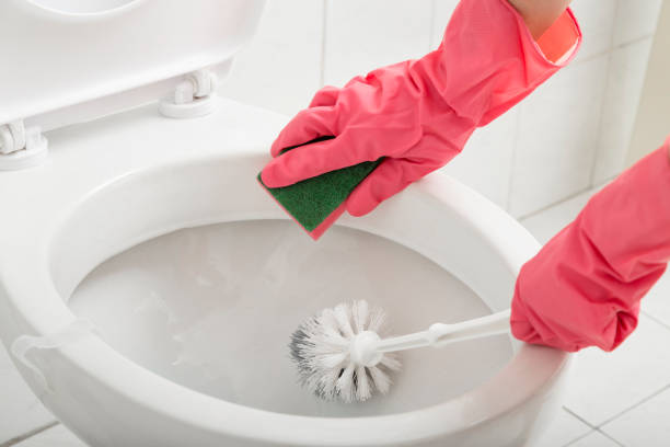 Tips for Effectively Cleaning Your Toilet